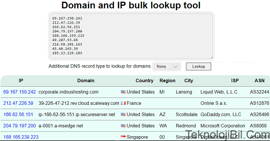 domain and IP lookup tool by InfoByIp