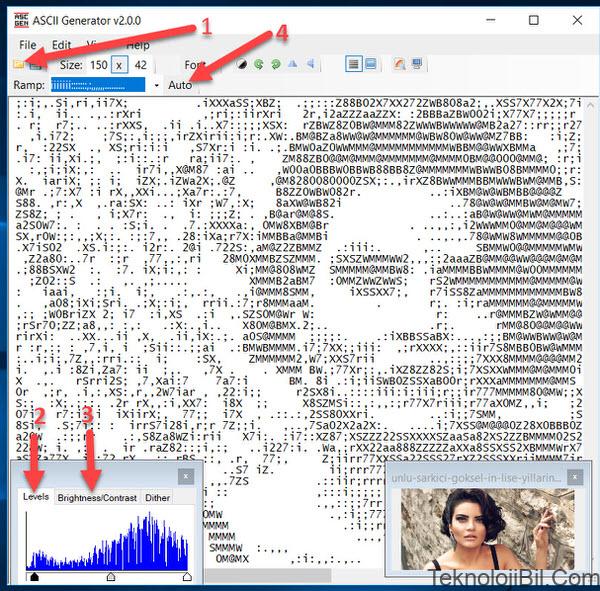 Resmi ASCII Sanatına Çevirme, Resim Yapma Programı